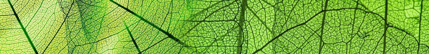 Životní prostředí